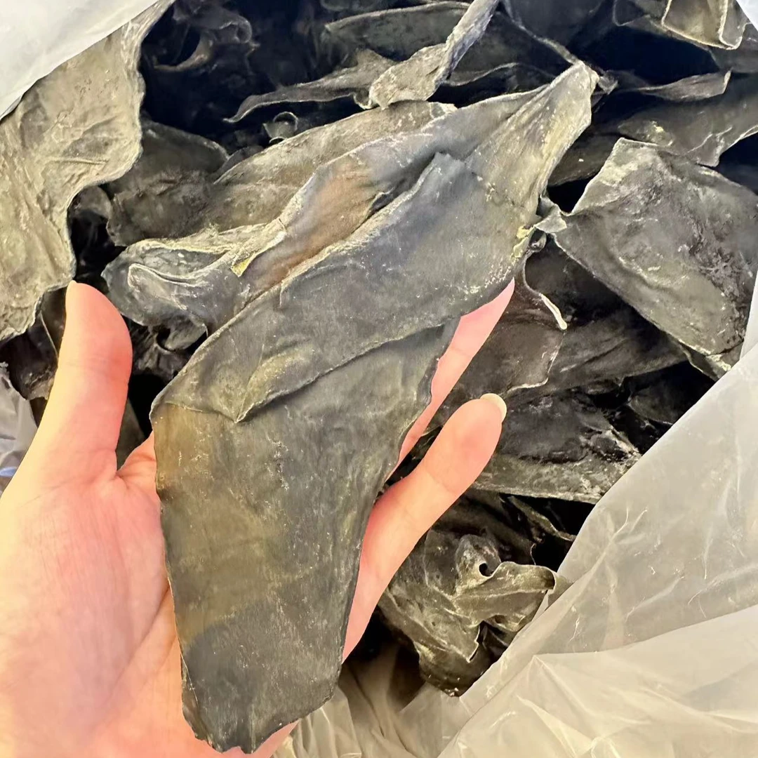 福建霞浦海带头 厚肉淡干 孕妇小孩煲汤甜品