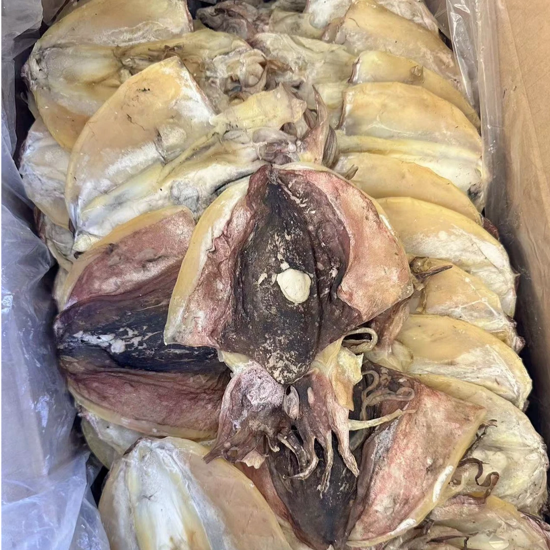 墨鱼干 一斤9-10只  足干 （黑豆）