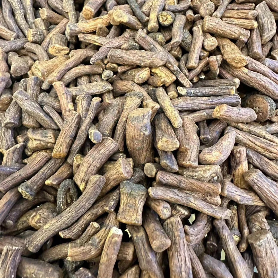 长白山农家蒲公英根 已炒制 醇香