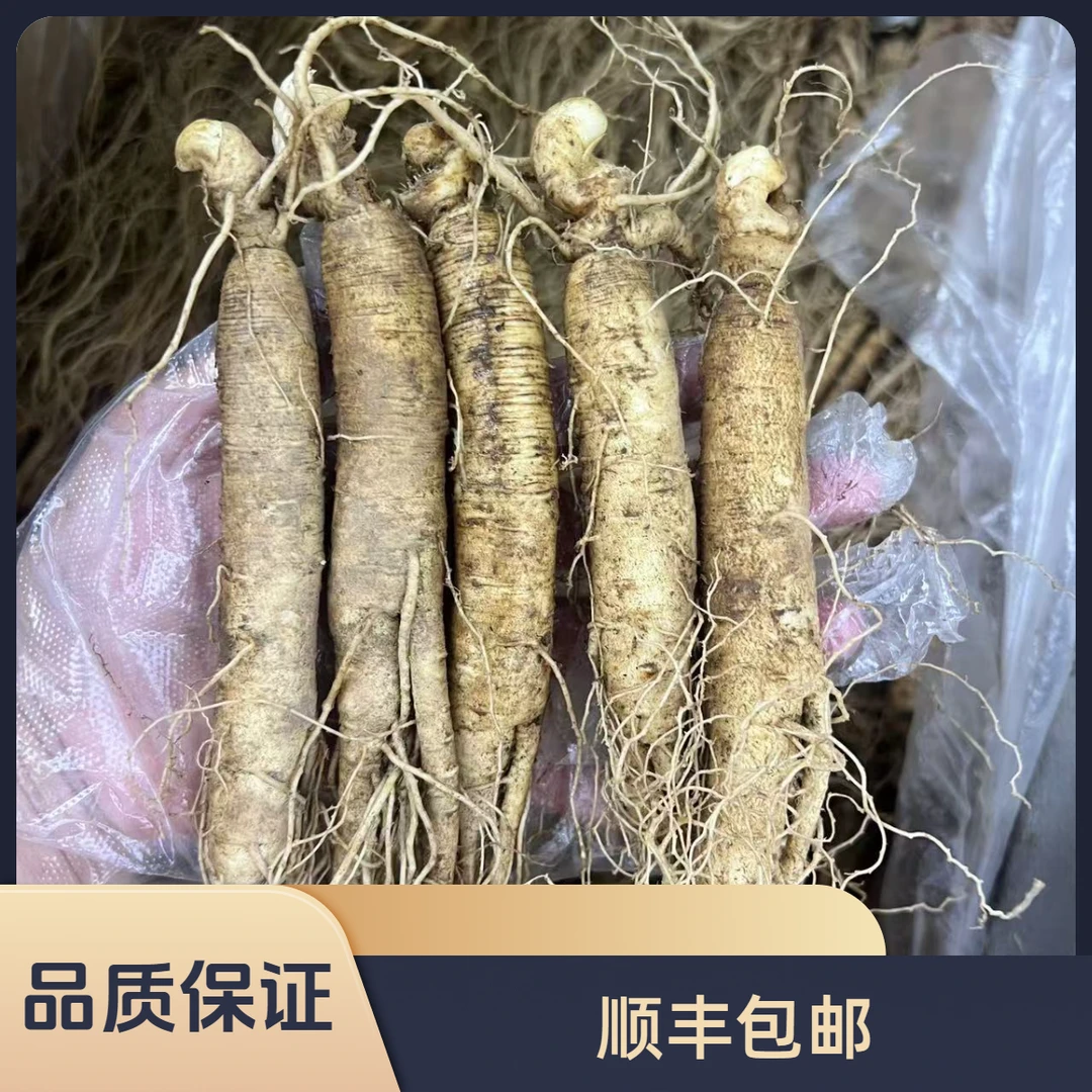 培辉堂精选10支 鲜参