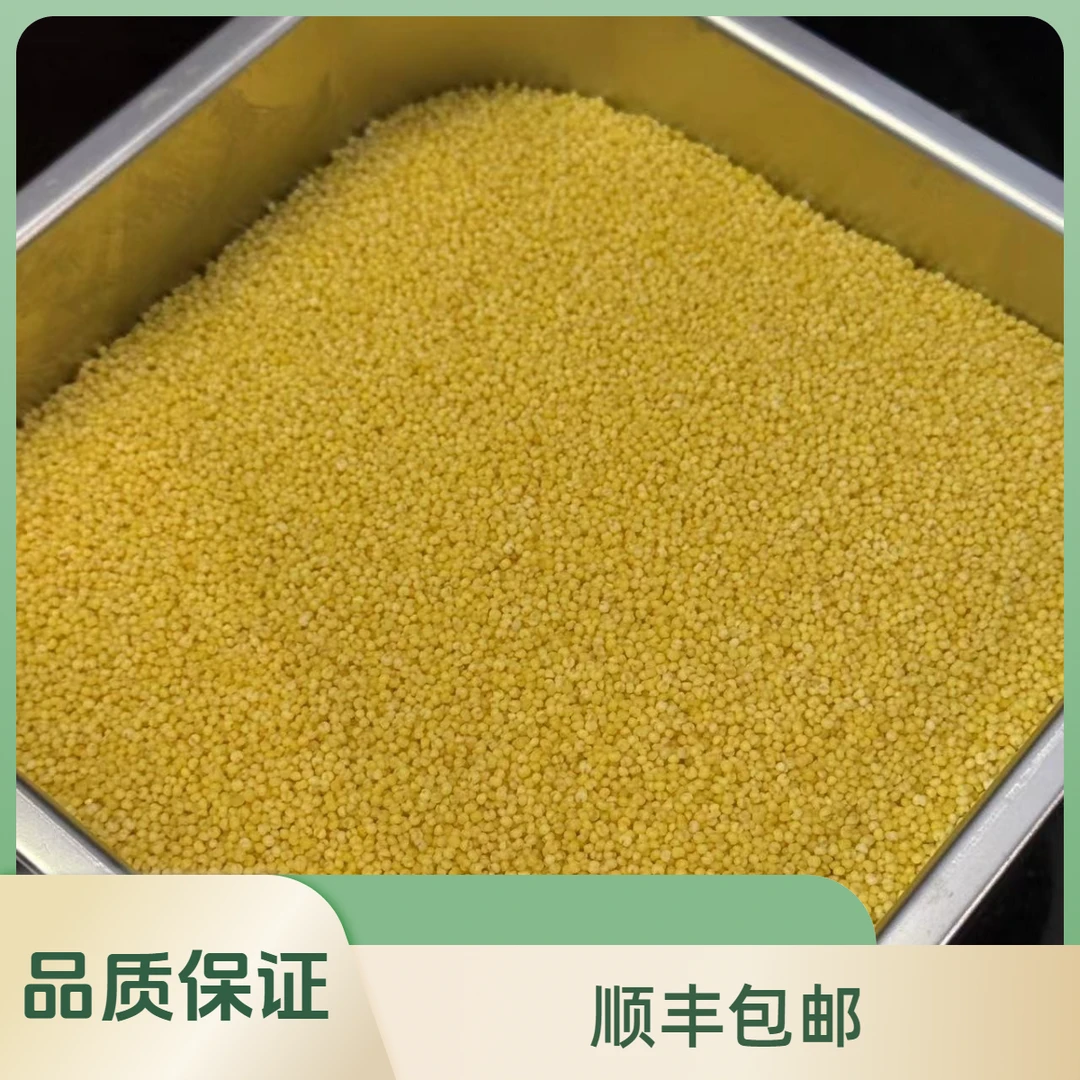 培辉堂精选 小米 1000克