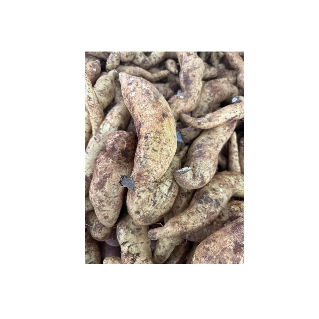 蜜红薯1000g