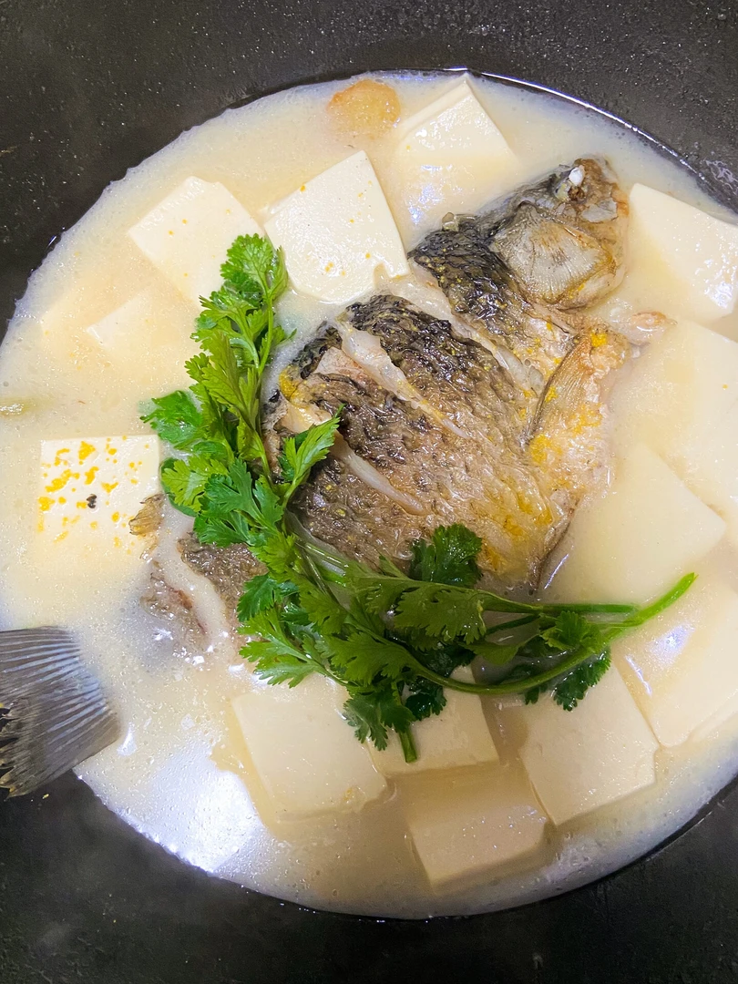 【组合】鲫鱼豆腐汤