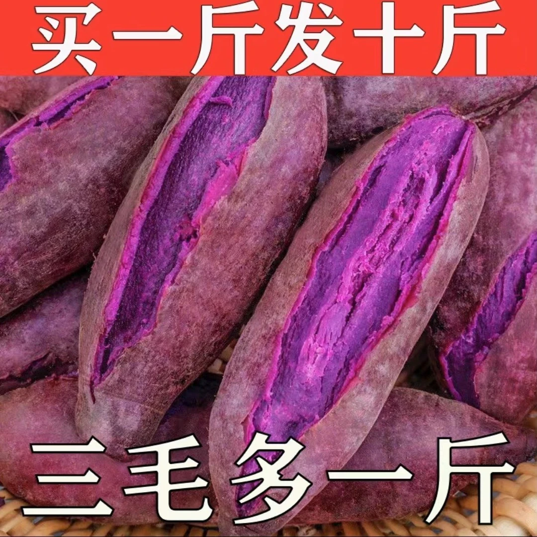 【低价抢购】沙地紫薯粉懦香甜3/5/9斤新鲜紫地瓜蜜薯板栗红薯批发