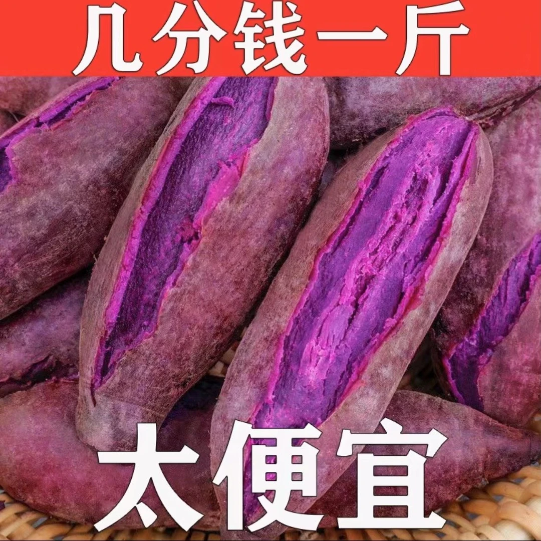 【新鲜紫薯】鲜甜沙地紫心紫薯番薯地瓜紫罗兰蜜薯3/5/9斤装批发