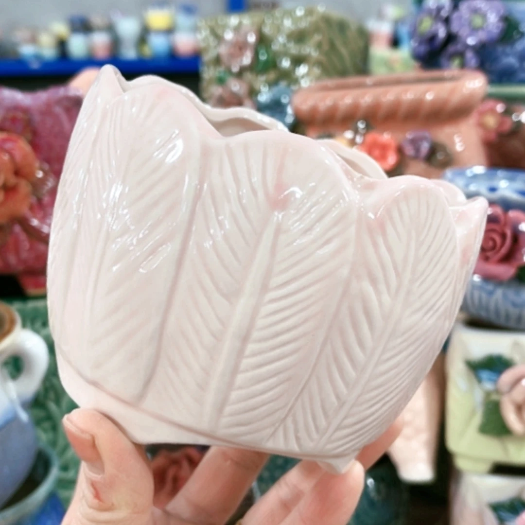 【闪购商品】红陶15cm以下