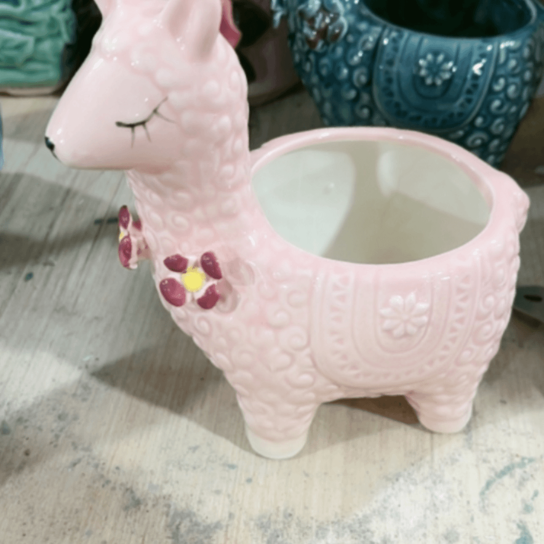 【闪购商品】红陶15cm以下8/8