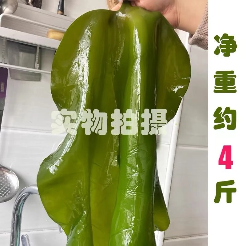 盐渍海带头新鲜整箱特厚昆布海带丝结片根海白菜嫩批发商用炖