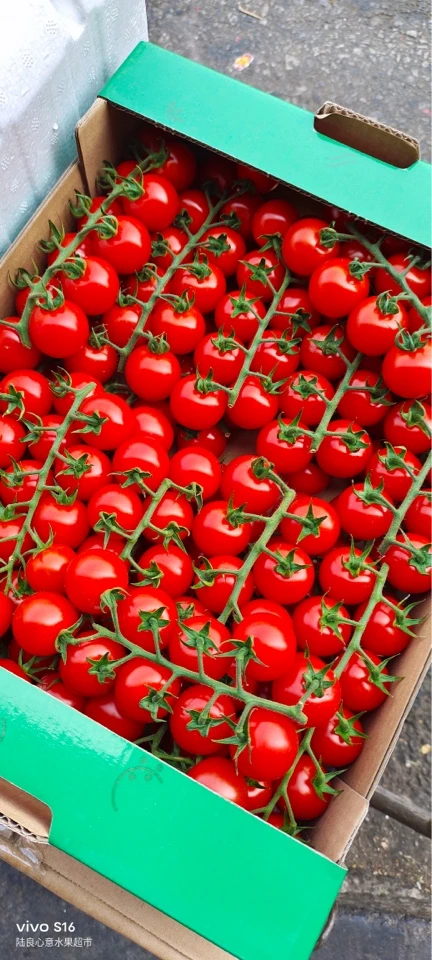 【配送到家】千禧圣女果