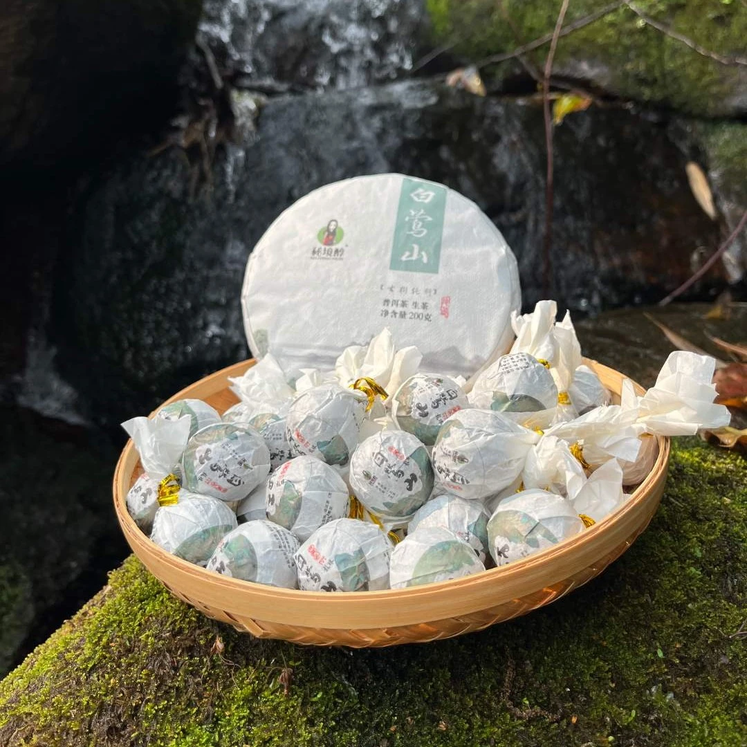 白莺山茶头春古树龙珠迷你9克云南普洱茶生茶原产地茶农直销