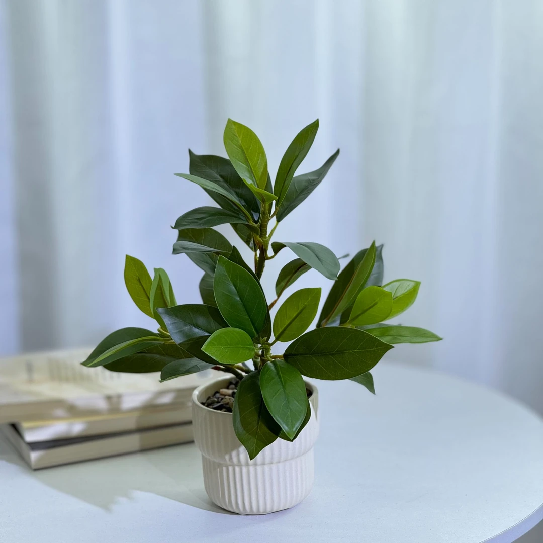 新款仿真绿植招财叶平安树叶造景装饰小盆景摆件室内办公室