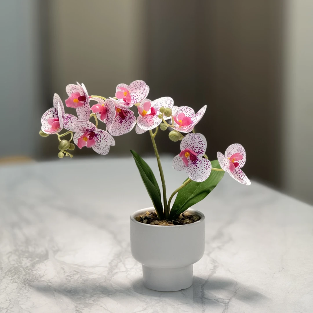 蝴蝶兰仿真花摆设花瓶高级感假花小众花艺摆件装饰客厅玄关轻奢