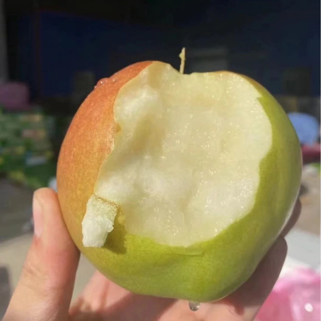 山西正宗玉露香梨产地直发梨子雪梨苹果《山西广电严选》水果