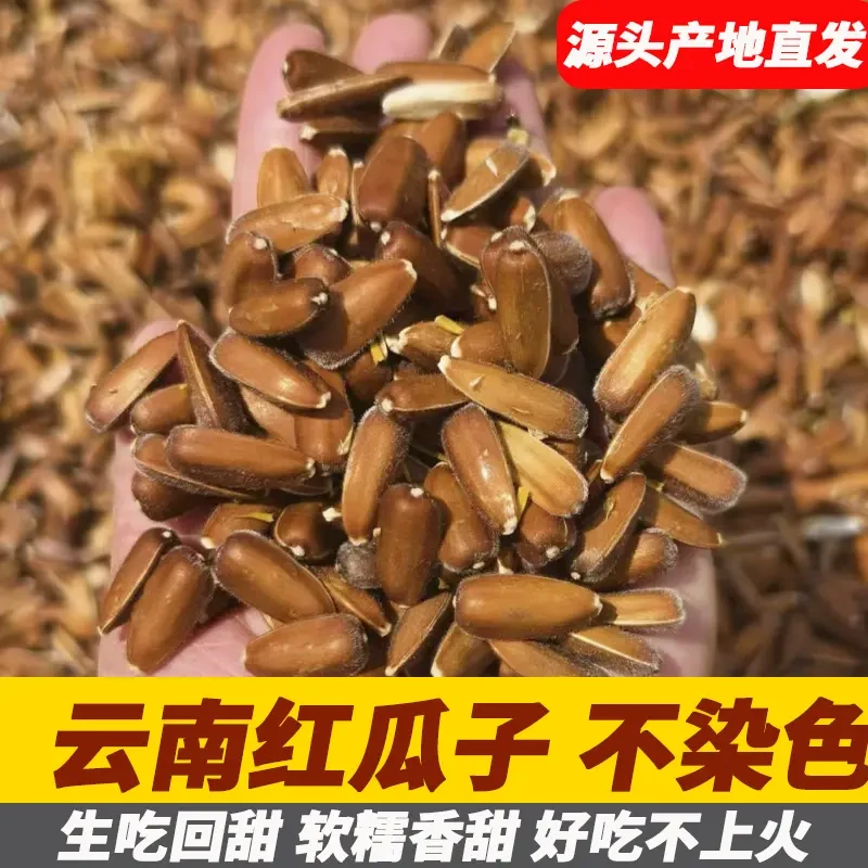 云南特产红皮生瓜子大颗粒山地葵花籽农家自种原味甜糯水果红瓜子