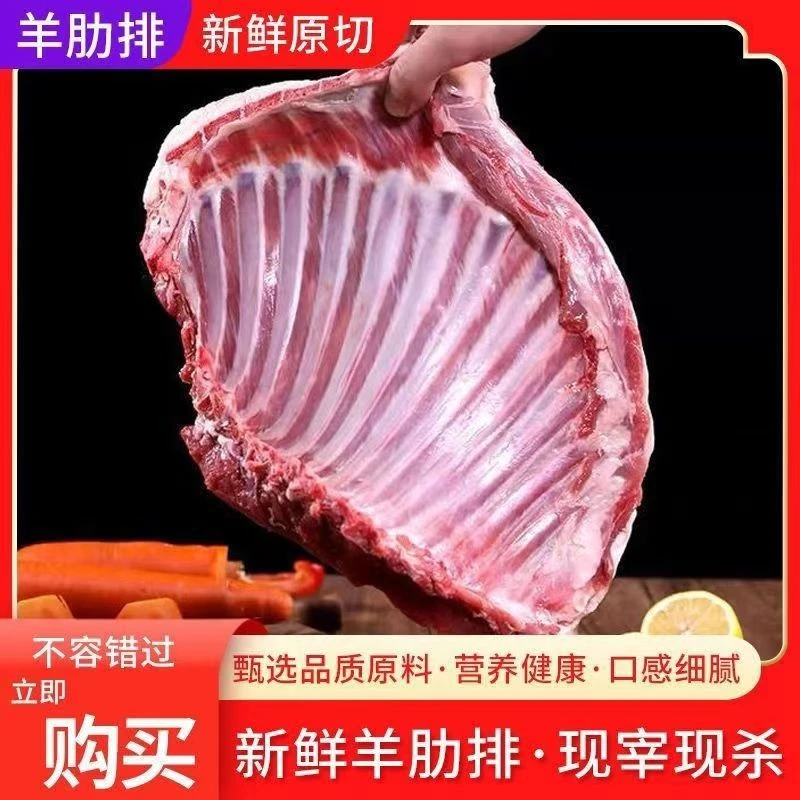 新鲜现杀羊排羊排尖羊小排羔羊肋排羊胸骨羔羊新鲜烧烤羊排肉块i