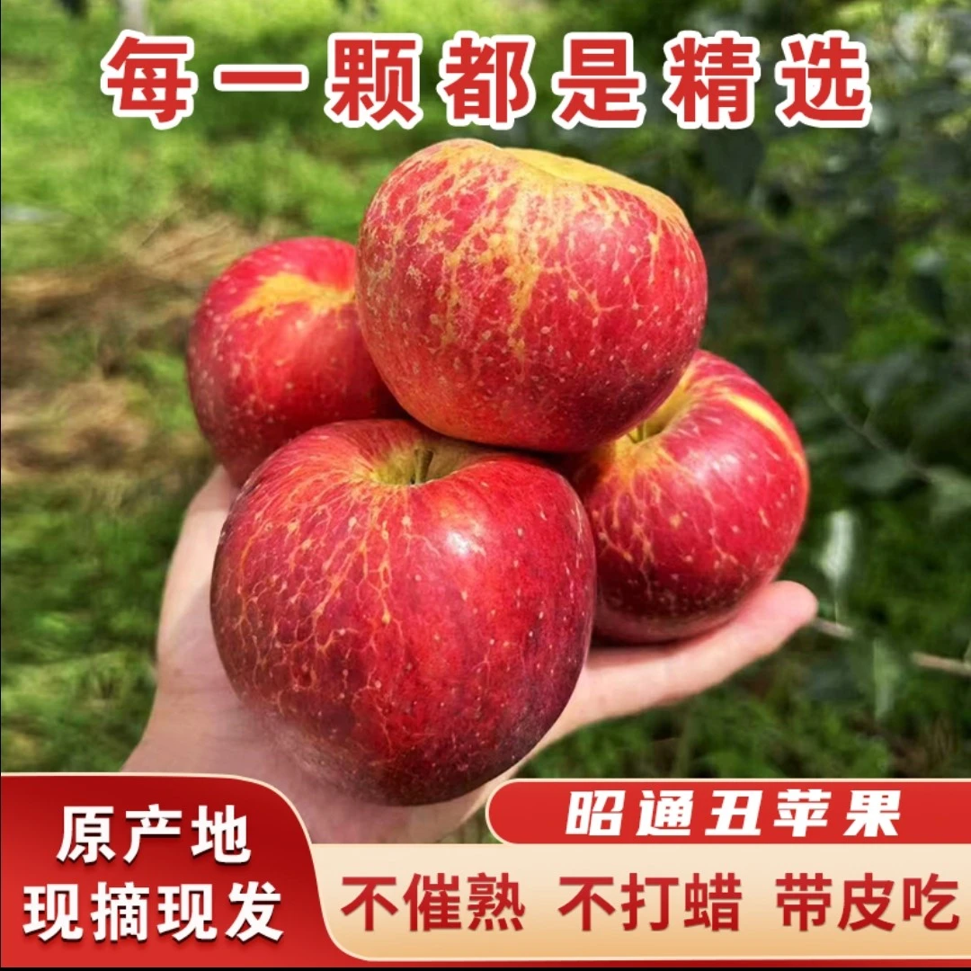 现摘现发云南昭通冰糖心丑苹果脆甜多汁新鲜水果好吃重量5斤包邮