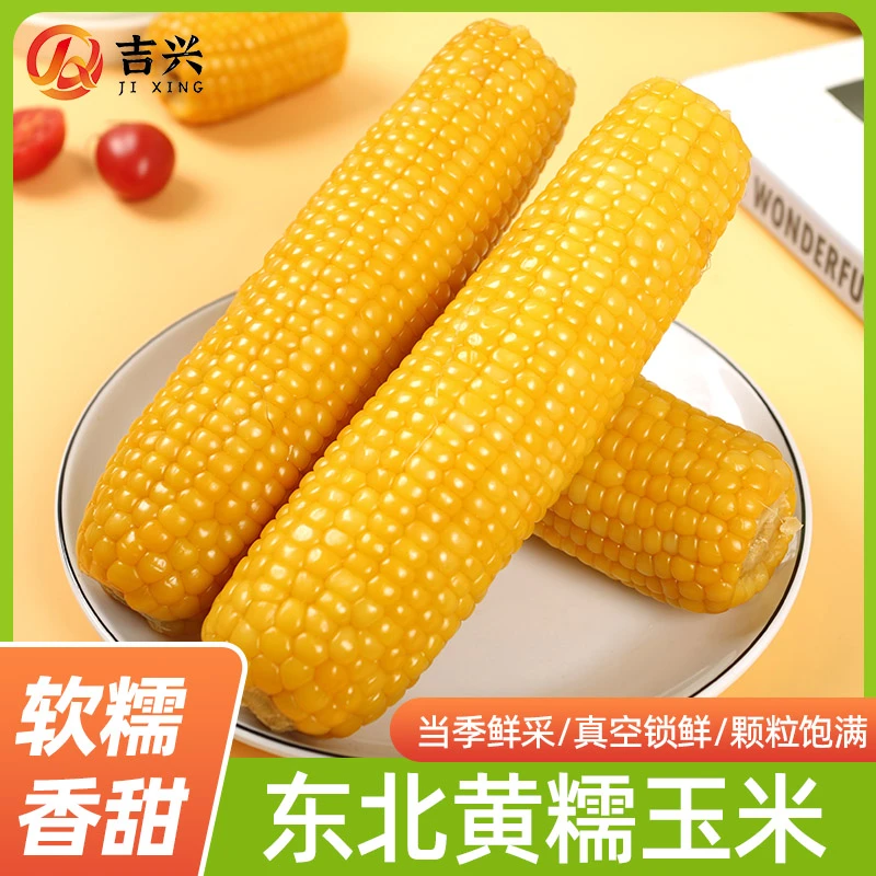 【试吃5根】东北黄糯玉米软糯粘香10支整箱5-6斤真空彩袋包装