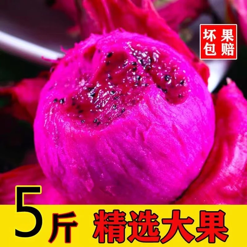 包熟包甜 大果 正宗金都一号红心火龙果当季新鲜水果蜜宝红肉5斤