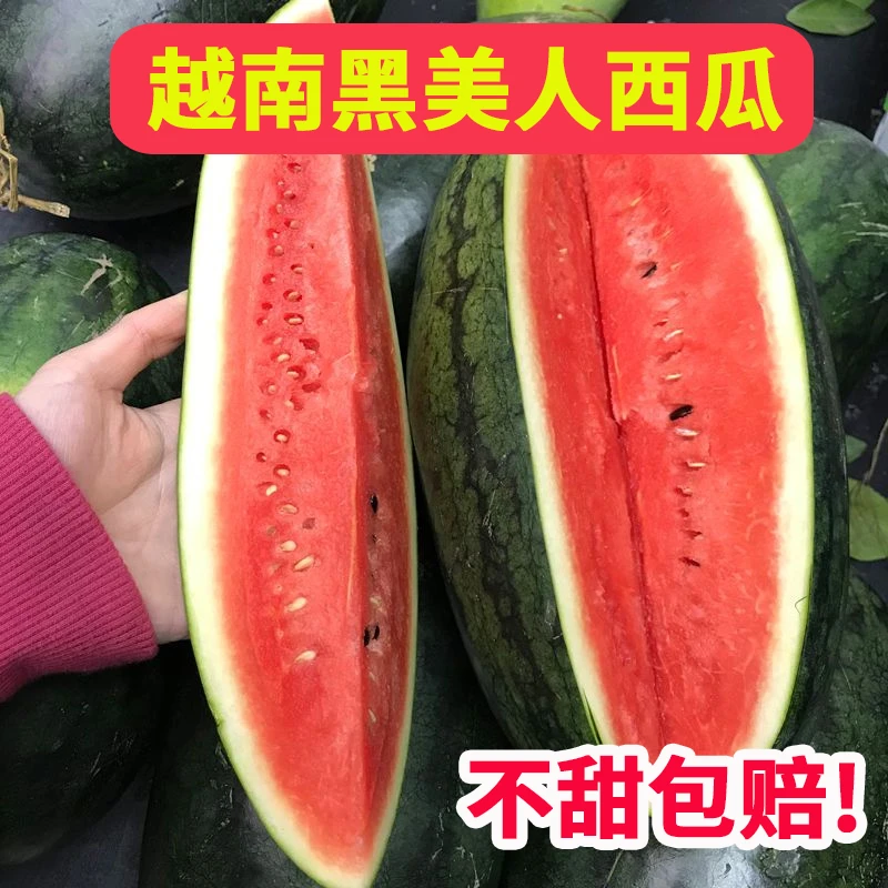 包甜包赔特价当季越南产地黑美人山地西瓜当季热带水果整个批发