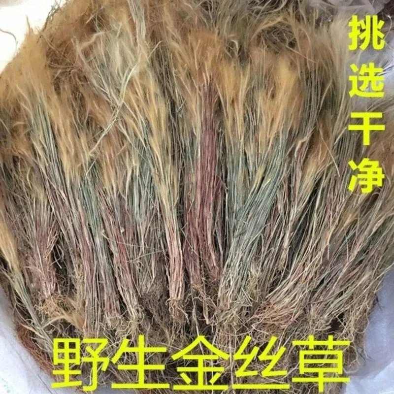 农家自晒100g猫毛草金丝草马尾草笔仔草新鲜晒干无硫非白茅根野生
