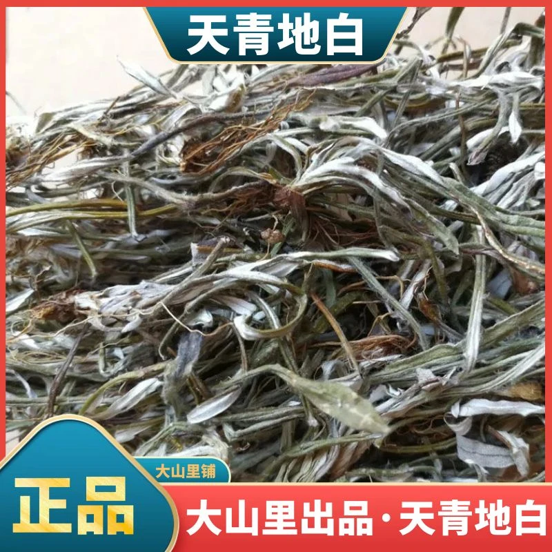 天青地白草大山里野生上青下白细叶鼠曲草自然晒干250g500g非杜仲