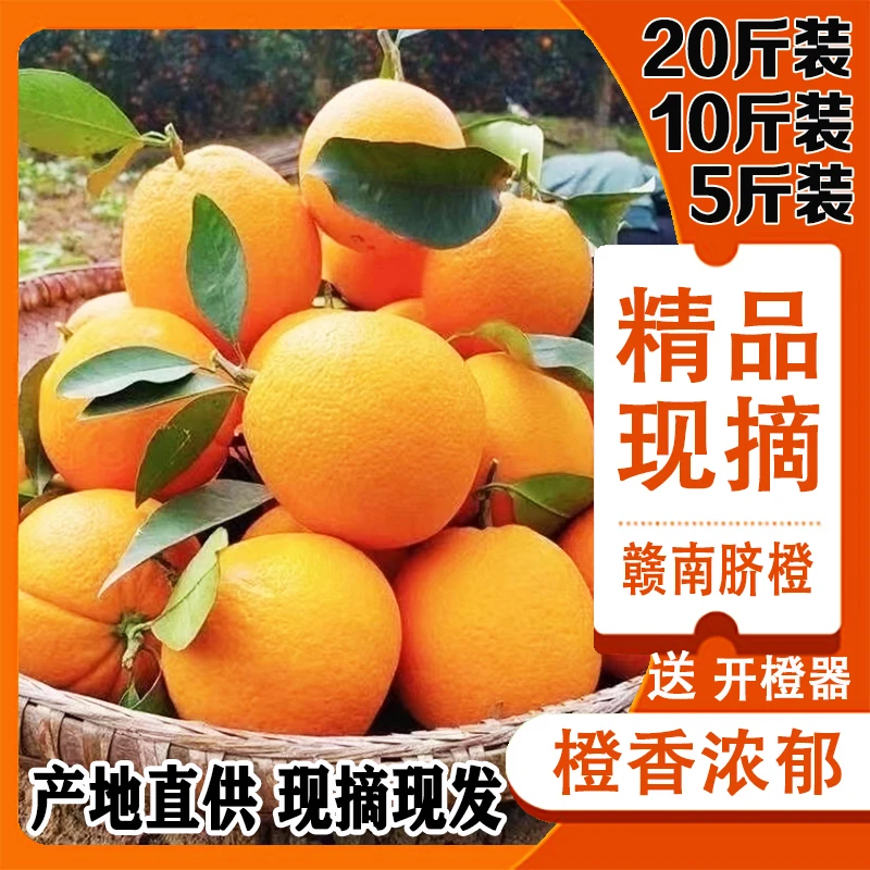 正宗赣南脐橙现摘现发果园鲜果采摘皮薄橙味江西特产兴国当季