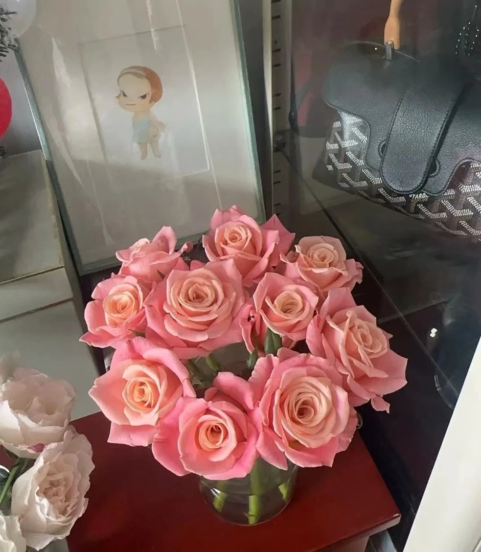 优质朱小姐玫瑰，一单包邮中通冷链，售后范围见商品详情页