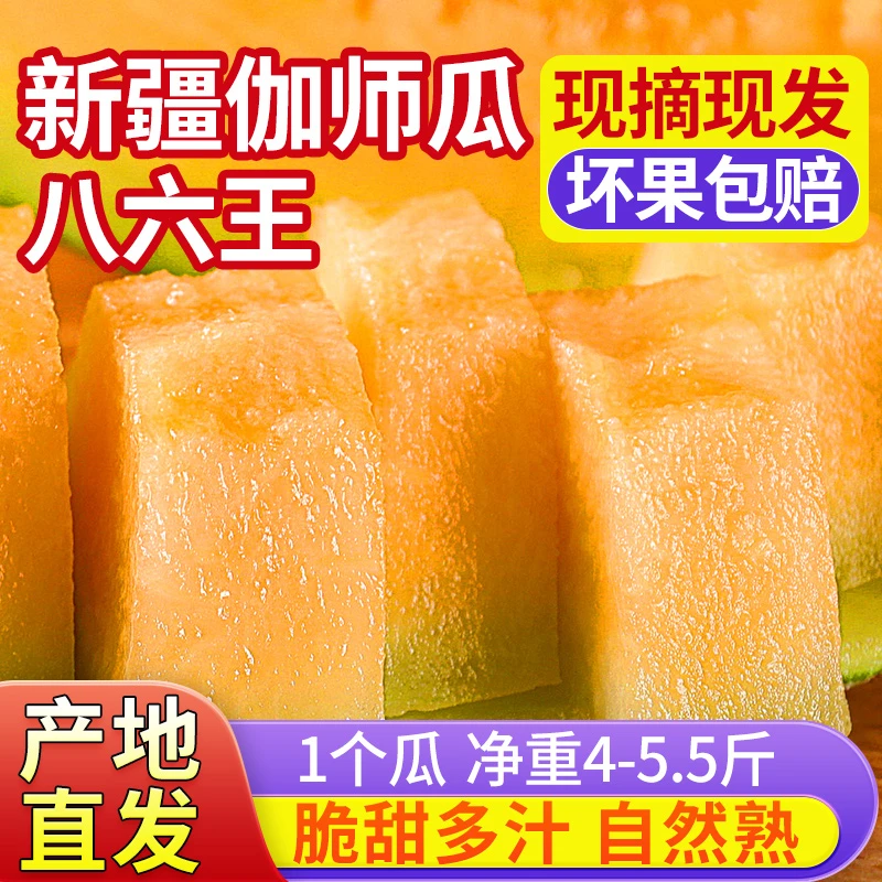 新疆伽师瓜八六王新疆哈密瓜应季水果现摘先发坏果包赔新鲜香甜