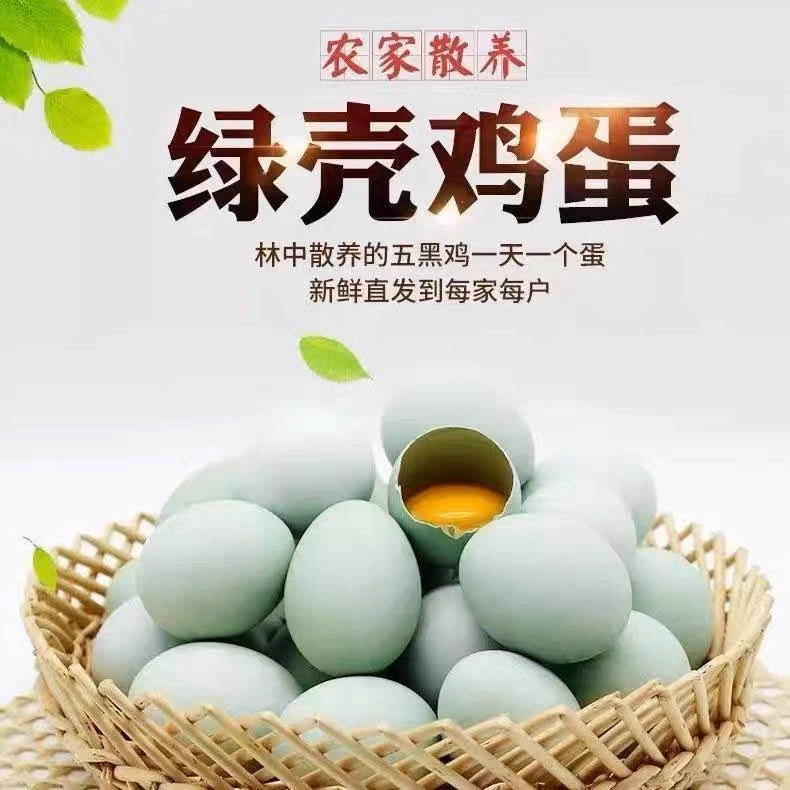 【新疆包邮】【半年卡】300枚乌鸡蛋每日鲜蛋营养孕妇老人都可以吃