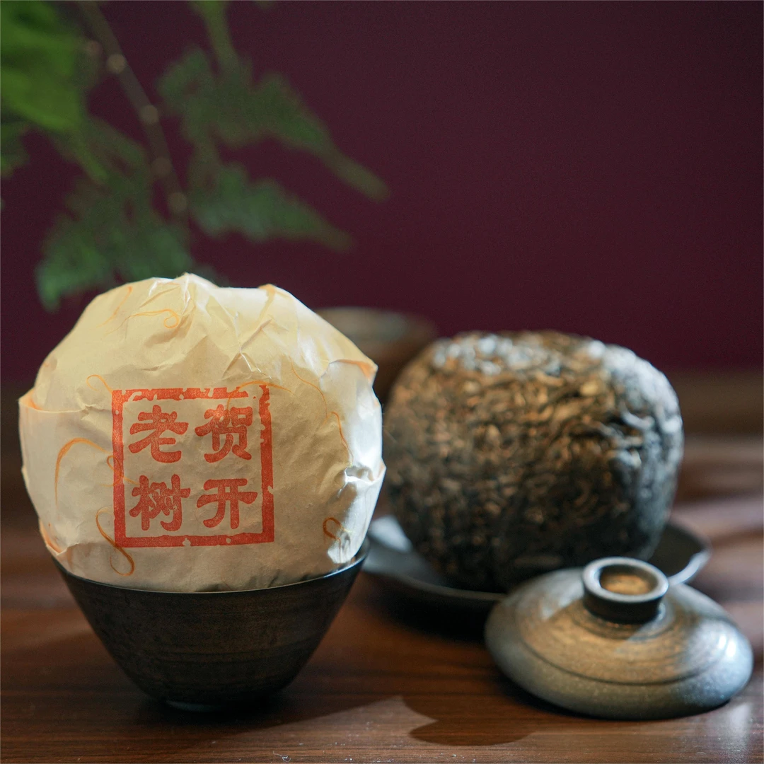 澜普号【贺开老树】普洱茶生茶沱茶500g