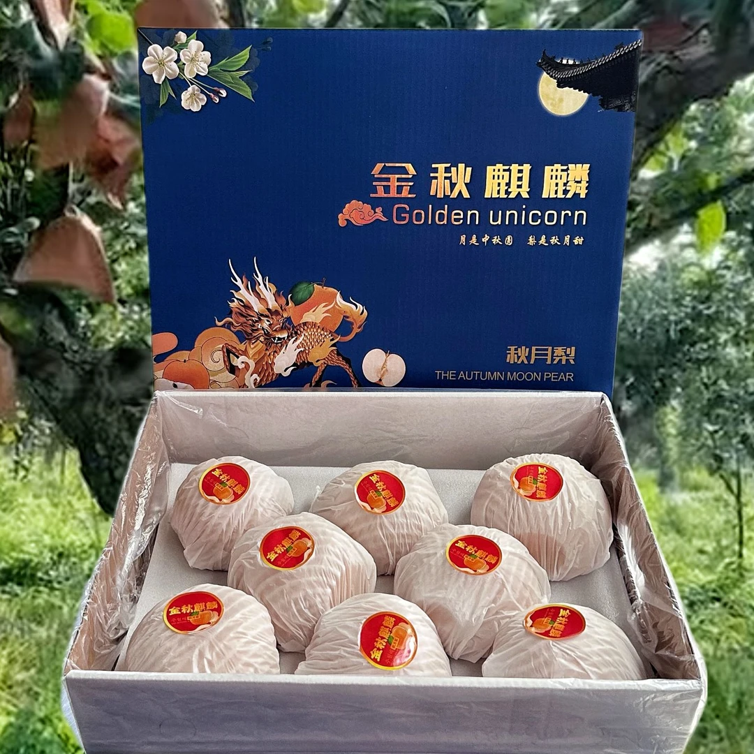 蓝小麒【正宗莱阳秋月梨】品质特大果礼盒新鲜采摘产地直发爆甜多汁