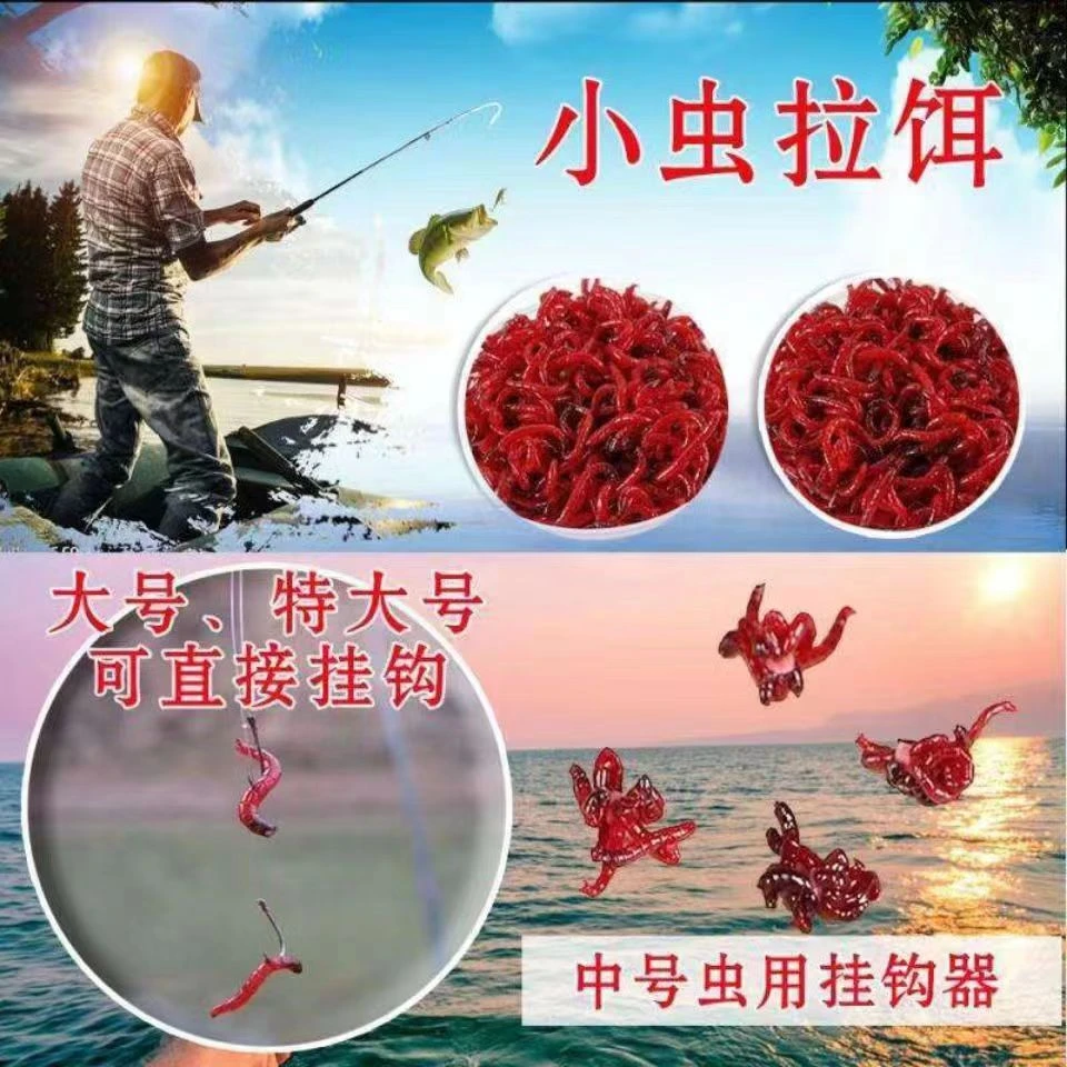 鲜活红虫特大号公虫活体活饵喂鱼饵拉饵鲫鱼野钓黑坑钓鱼蚯蚓鱼饵