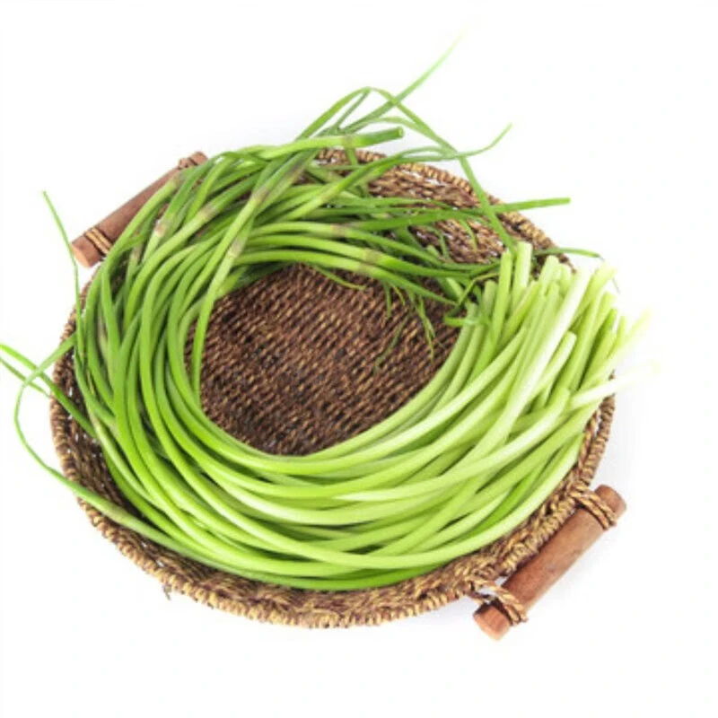 新 蒜苔 约600g