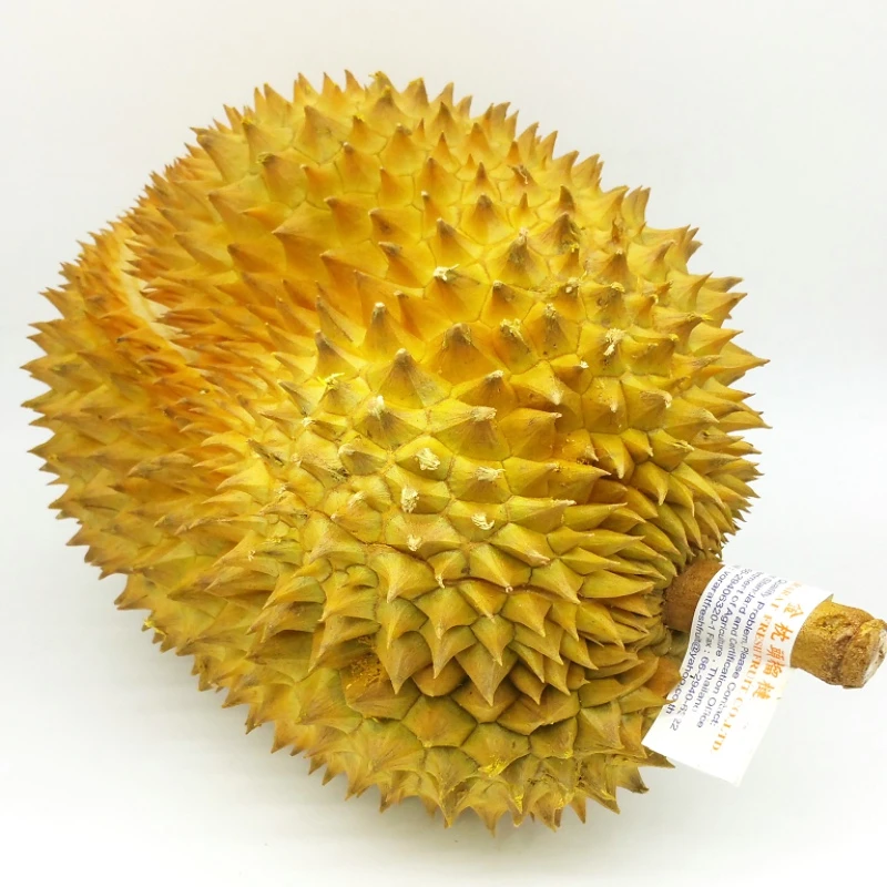 泰国金枕榴莲 约2.2-2.5kg