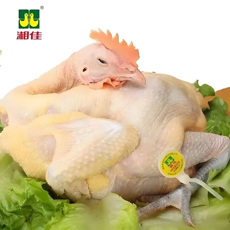 湘佳青脚大公鸡 约1.35kg-1.4kg
