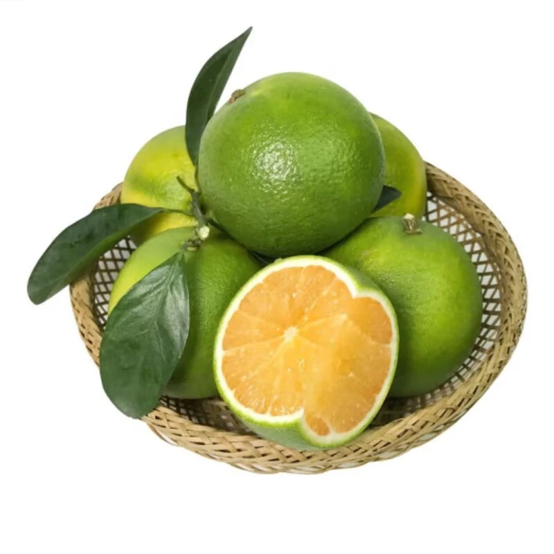 云南冰糖橙2.5kg单果65mm