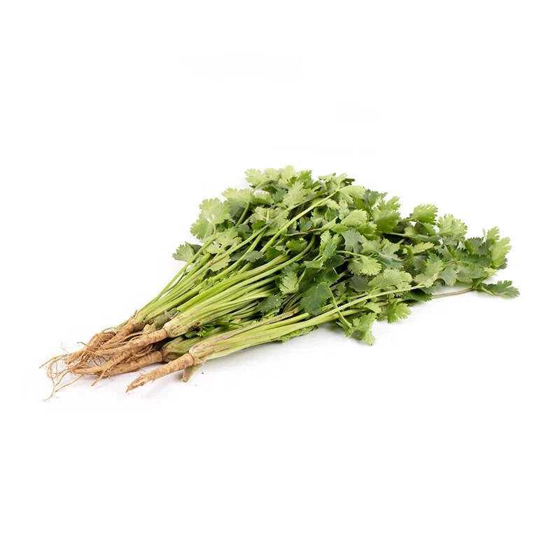 香菜 约100g