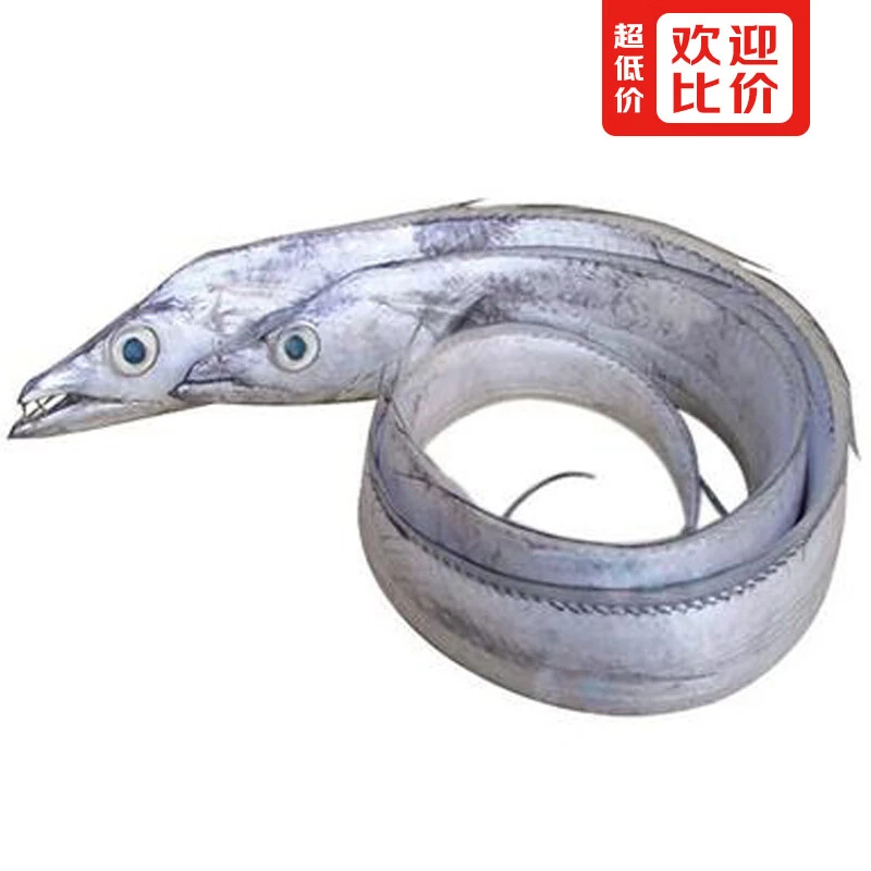 带鱼（冷冻） 约900g