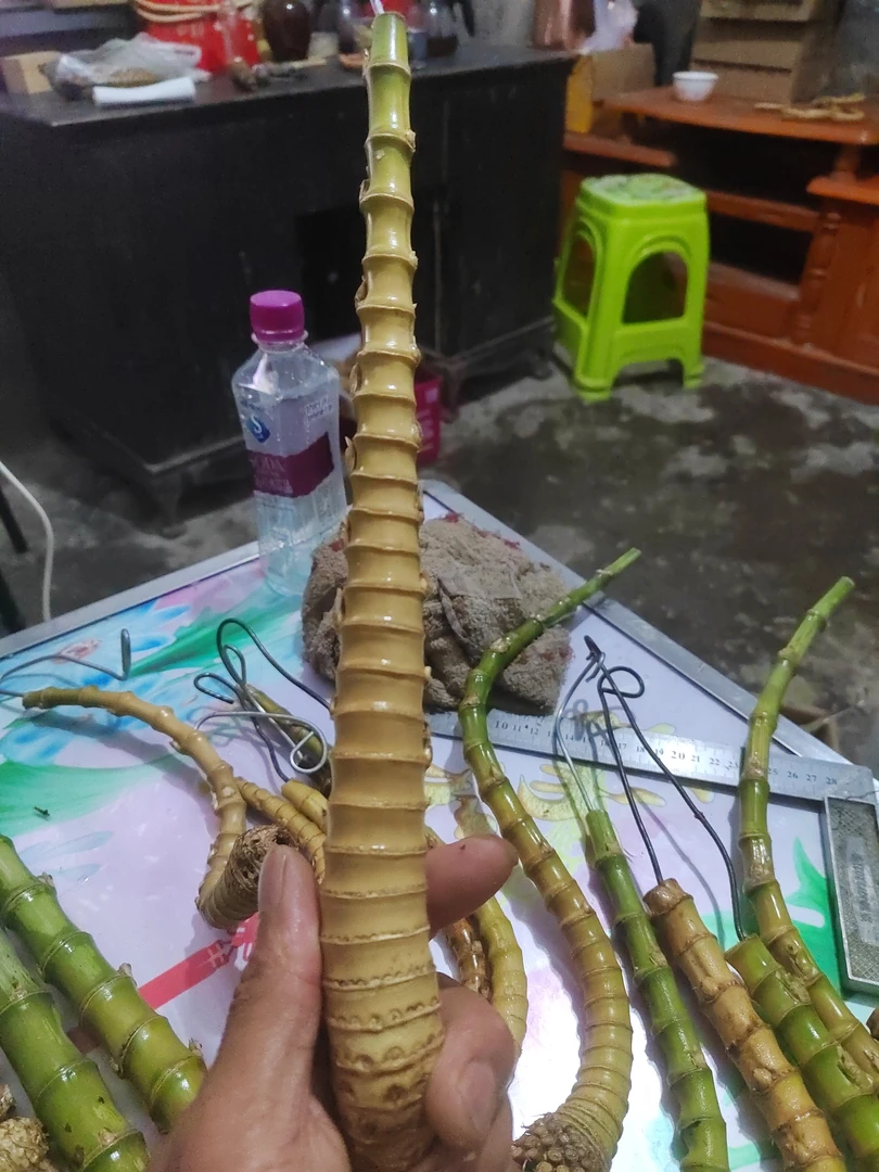 手把件烟杆，休闲玩具，sbjygXawj