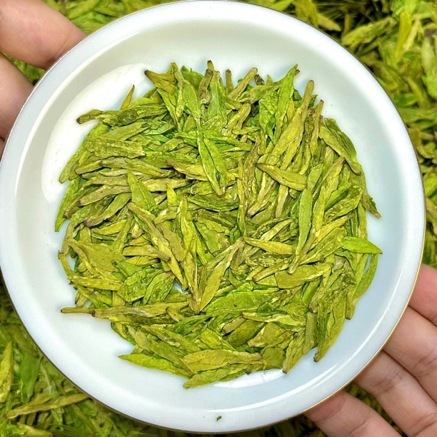 龙山头茶业2024新茶龙井绿茶春茶口粮送礼