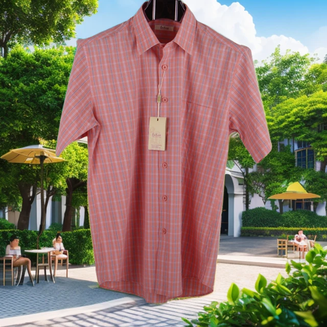 ENTICA/安迪卡品牌高支长绒棉休闲宽松夏季红格男士商务短袖衬衫