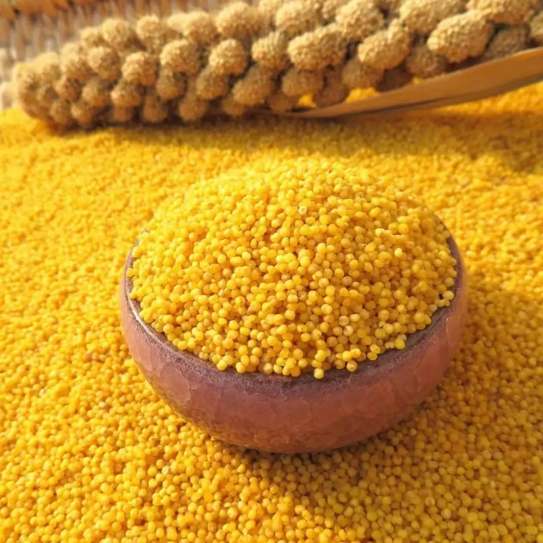 现磨新米黄小米高山种植营养丰富粘糯香醇米油浓郁