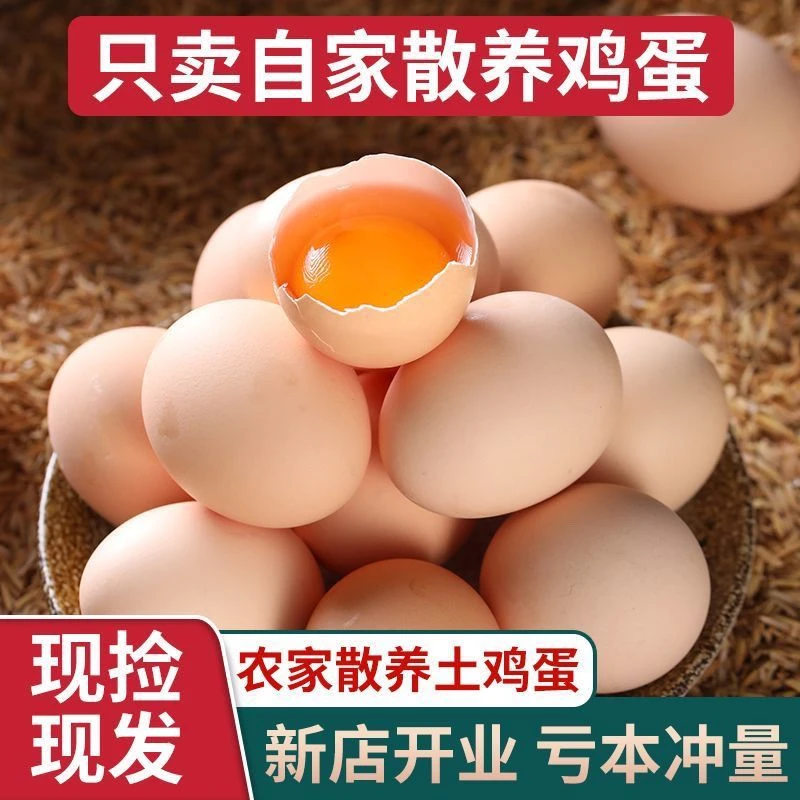 【破损包赔】农家散养土鸡蛋笨鸡蛋营养新鲜柴草虫草农户土鸡蛋