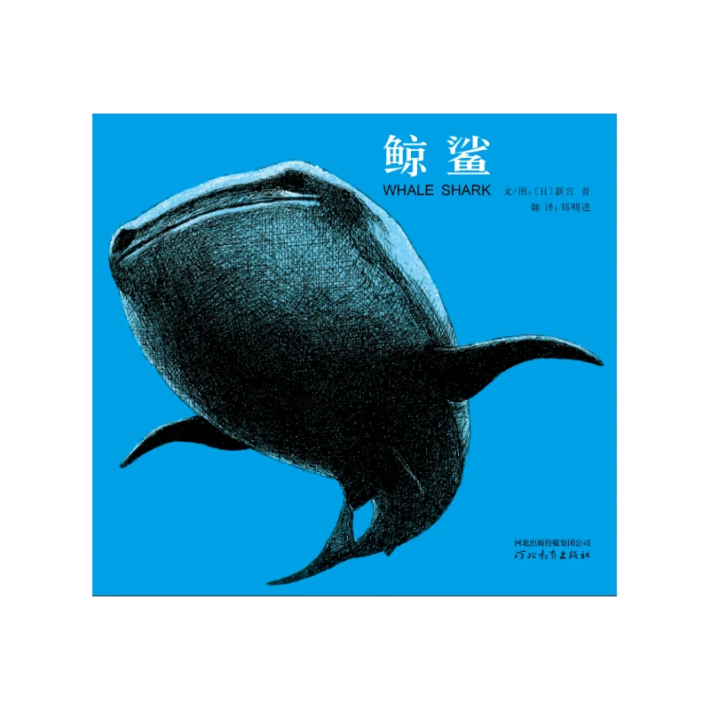 鲸鲨（新） 书籍 正版图书推荐 河北教育出版社