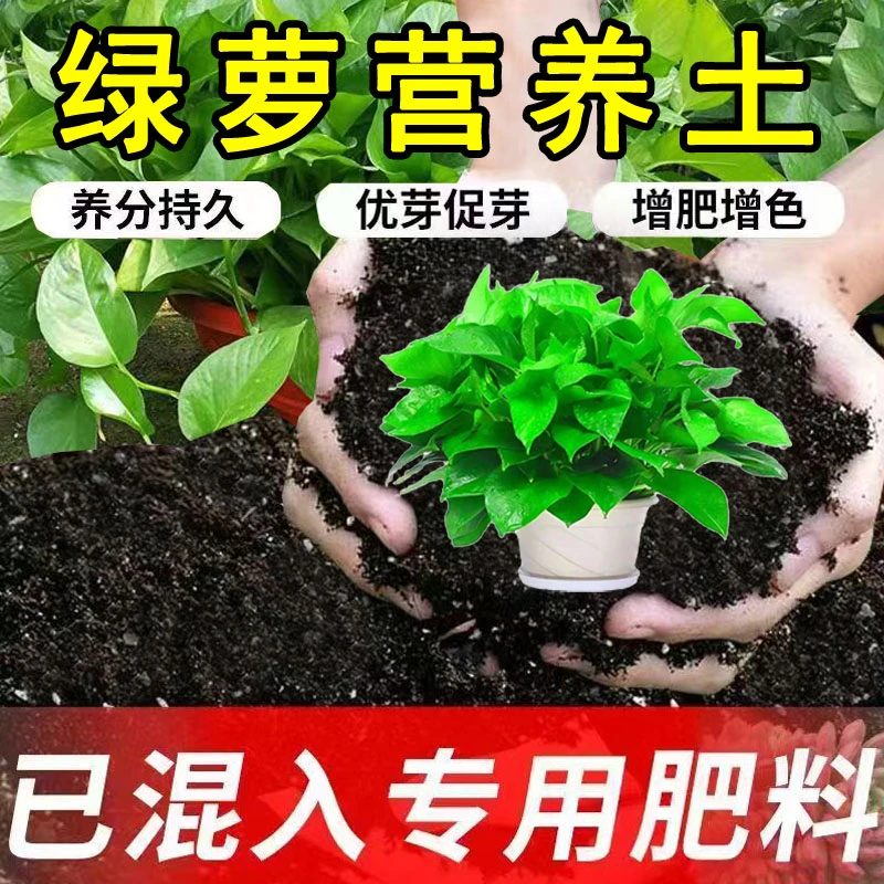 绿萝专用营养土阳台种花养花土室内花卉土绿萝盆栽土绿植有机土壤