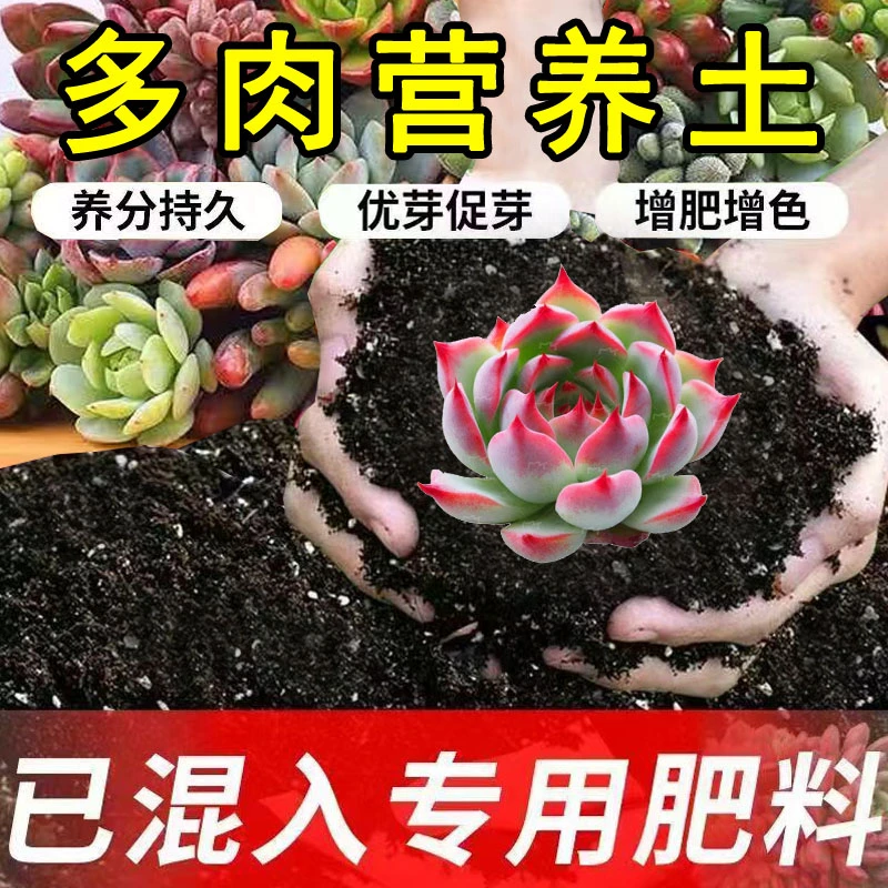 多肉专用营养土种花养花土室内花卉土多肉幼苗土肉肉盆栽土有机土
