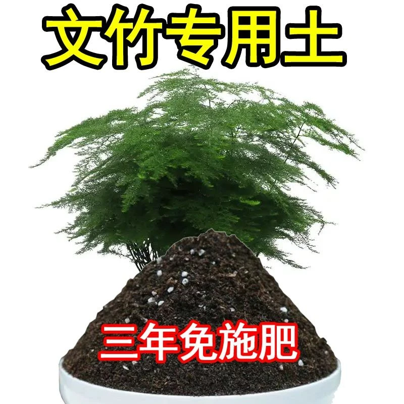 文竹专用土盆栽土种植土通用营养土室内种花养花土花卉土酸性土壤
