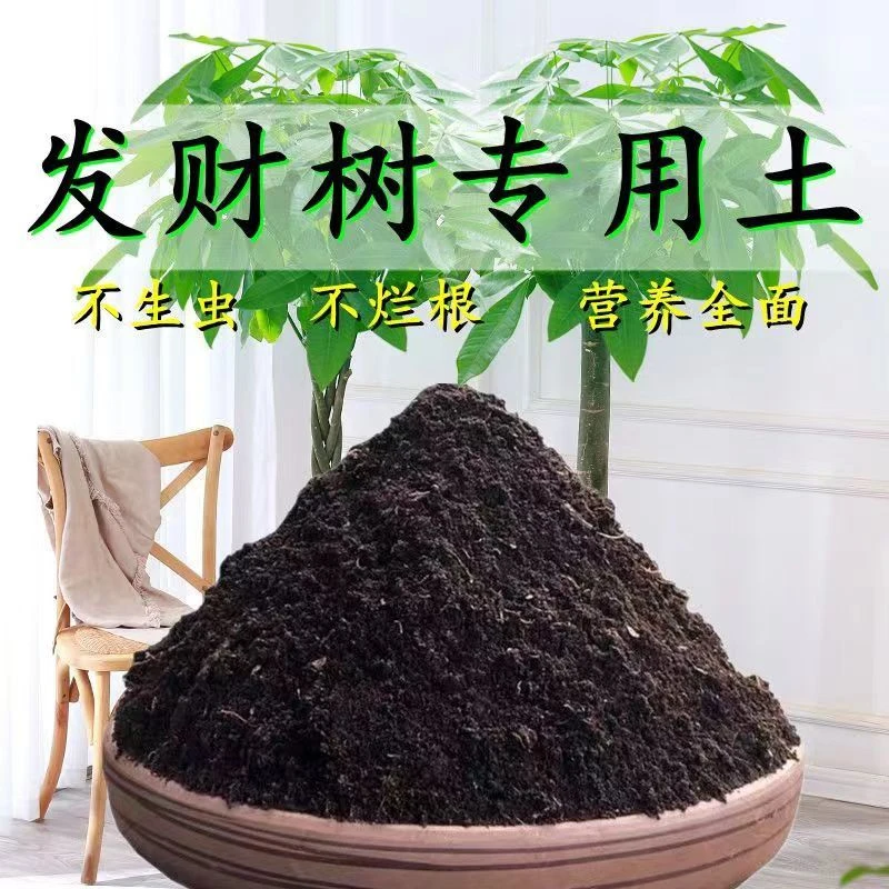 发财树专用土发财树营养土壤家用通用养花盆栽种植土花卉泥土肥料