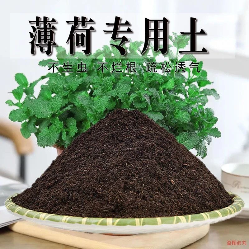 薄荷专用土薄荷土盆栽种植土养花营养土通用种花土壤绿植有机肥料