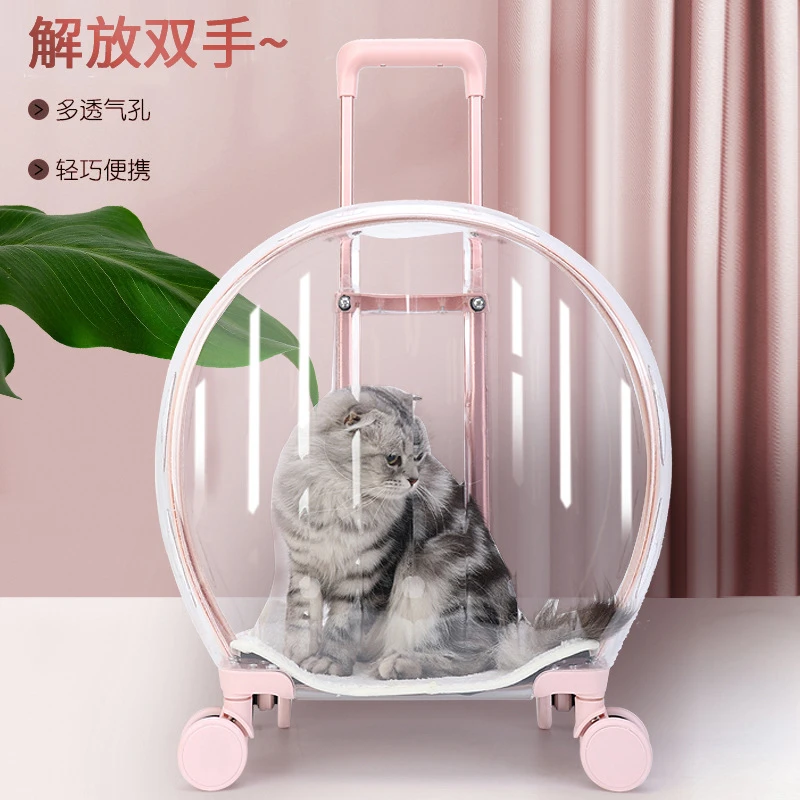 拉杆猫包2025新款透明大容量宠物箱外出便携轻便舒适透气猫咪背包
